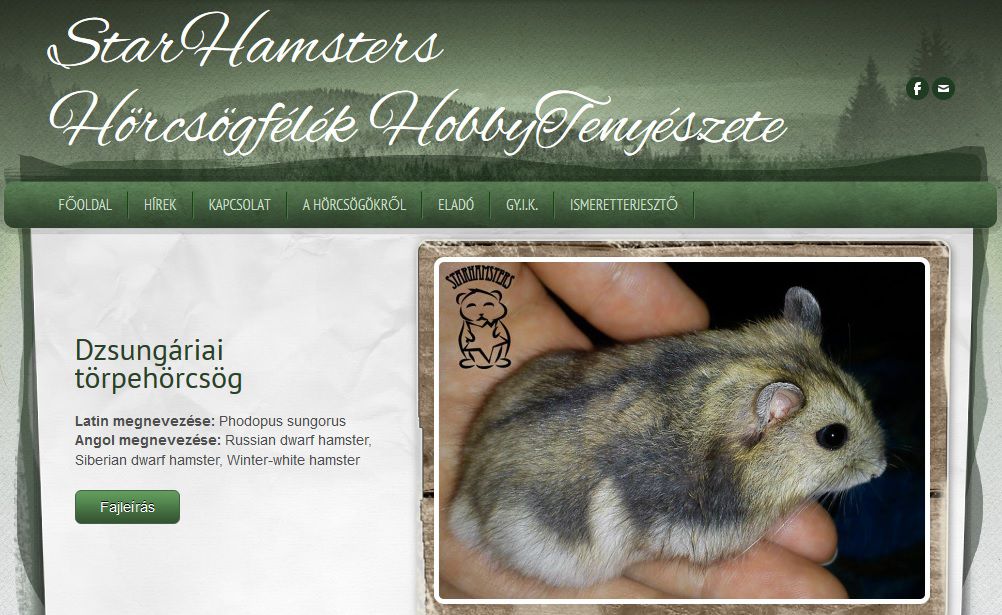 http://starhamsters.weebly.com/