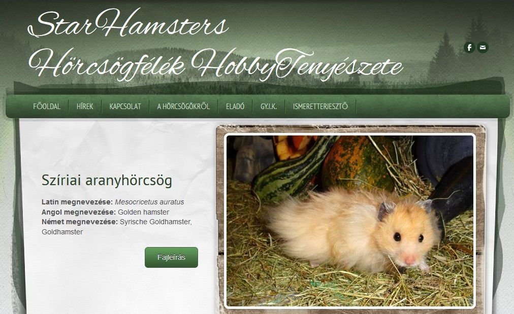 http://starhamsters.weebly.com