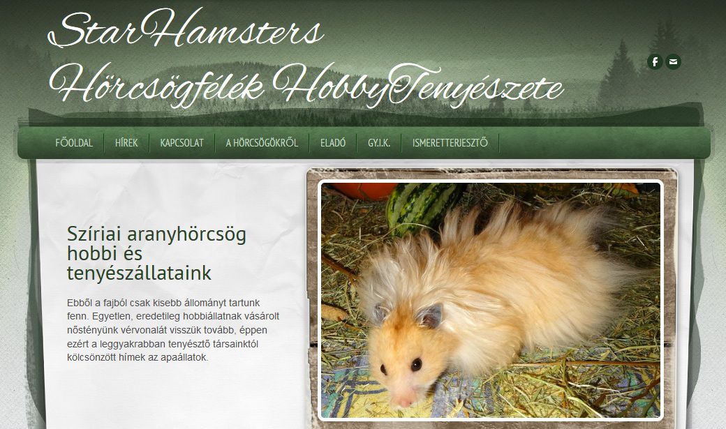http://starhamsters.weebly.com
