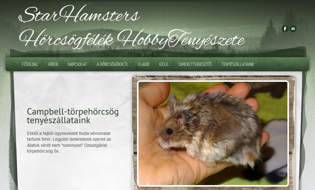 http://starhamsters.weebly.com/